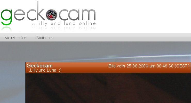 geckocam_webfrontend.jpg